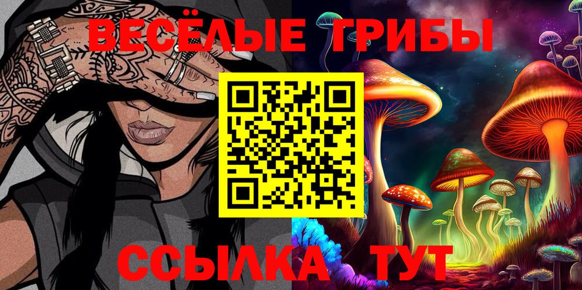 Псилоцибиновые грибы прущие грибы Ставрополь