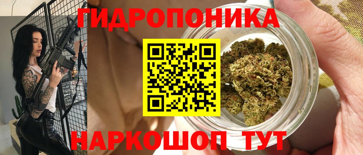 Бошки марихуана семена Ставрополь